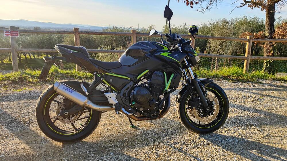 Kawasaki Z 650 (2021 - 24) (3)