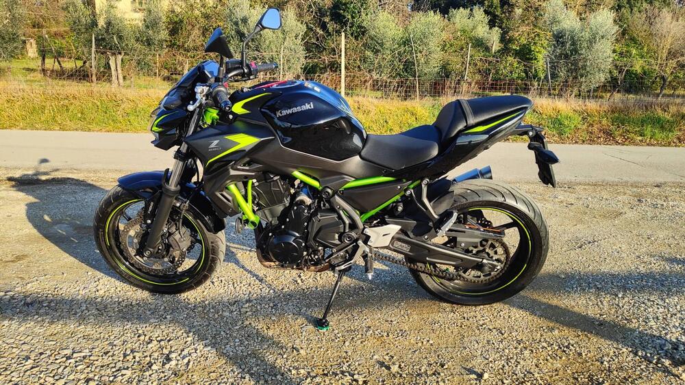 Kawasaki Z 650 (2021 - 24) (4)