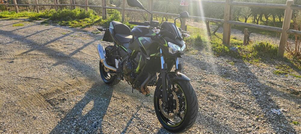 Kawasaki Z 650 (2021 - 24) (5)