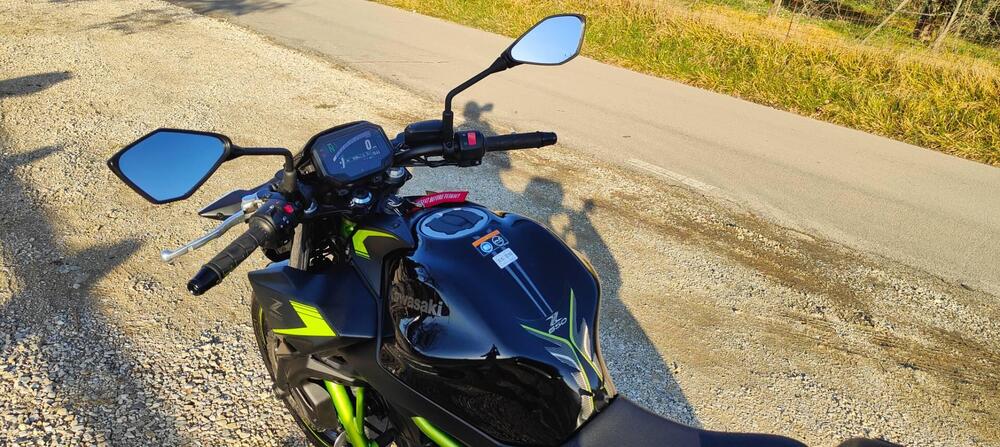 Kawasaki Z 650 (2021 - 24) (7)