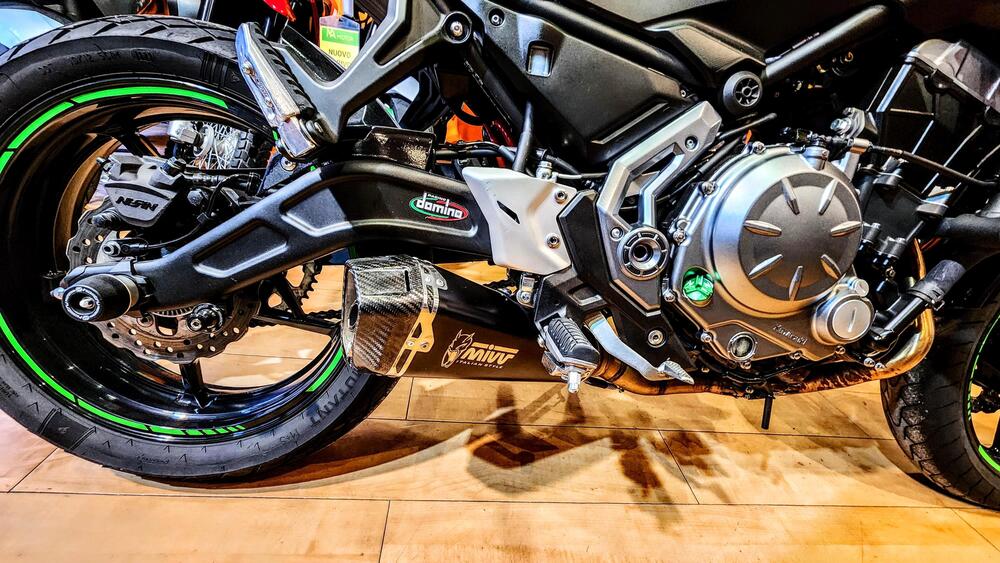 Kawasaki Z 650 (2020) (10)