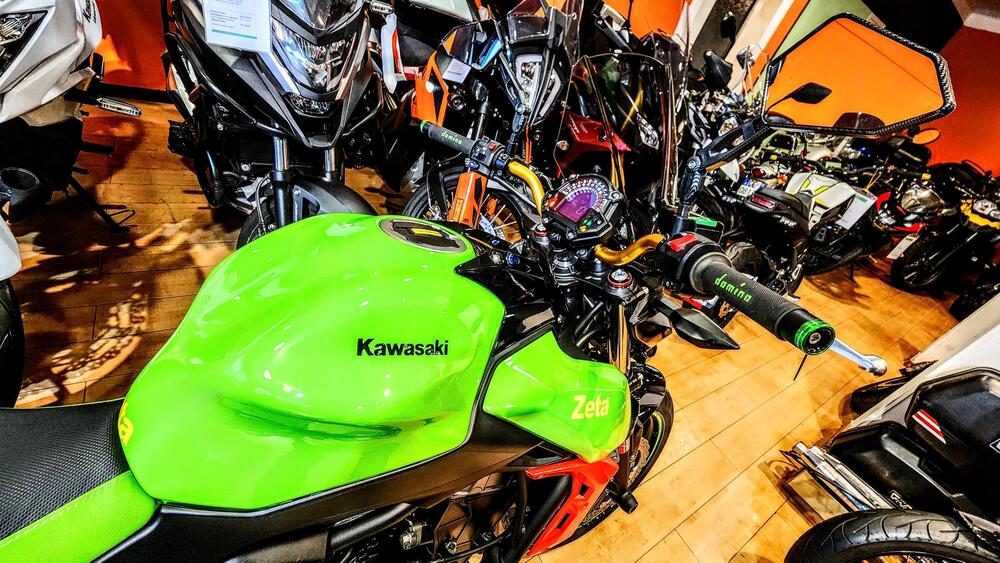 Kawasaki Z 650 (2020) (11)