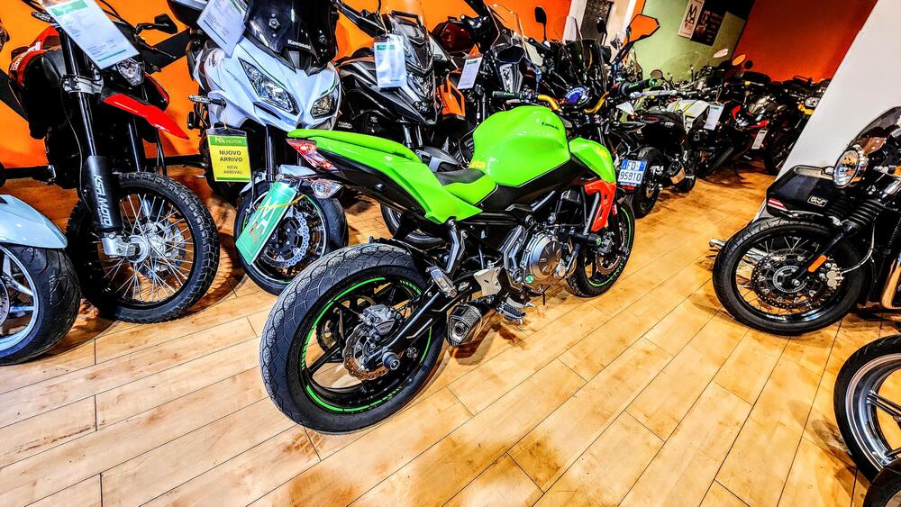 Kawasaki Z 650 (2020) (19)