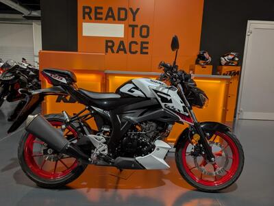 Suzuki GSX-S125 (2025 - 26) usata