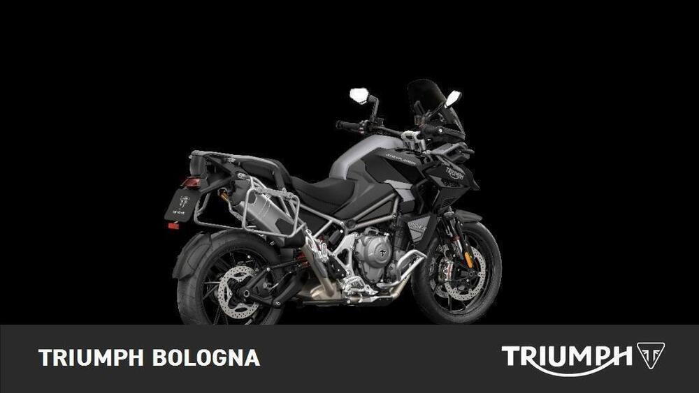 Triumph Tiger 1200 Rally Explorer (2022 - 23) (6)