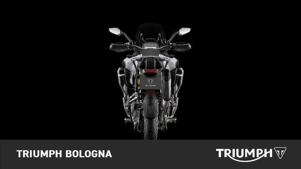 Triumph Tiger 1200 Rally Explorer (2022 - 23) (5)