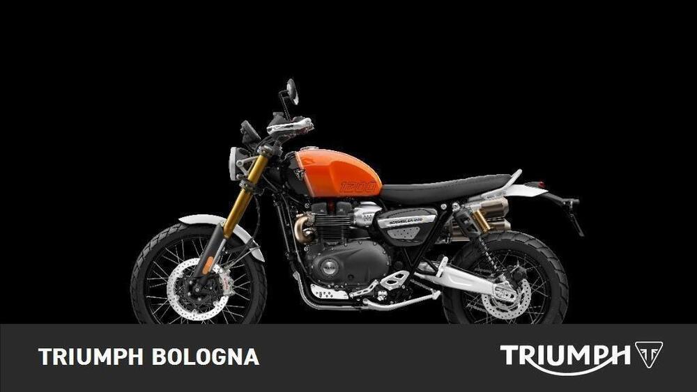 Triumph Scrambler 1200 XE (2024 - 25) (2)