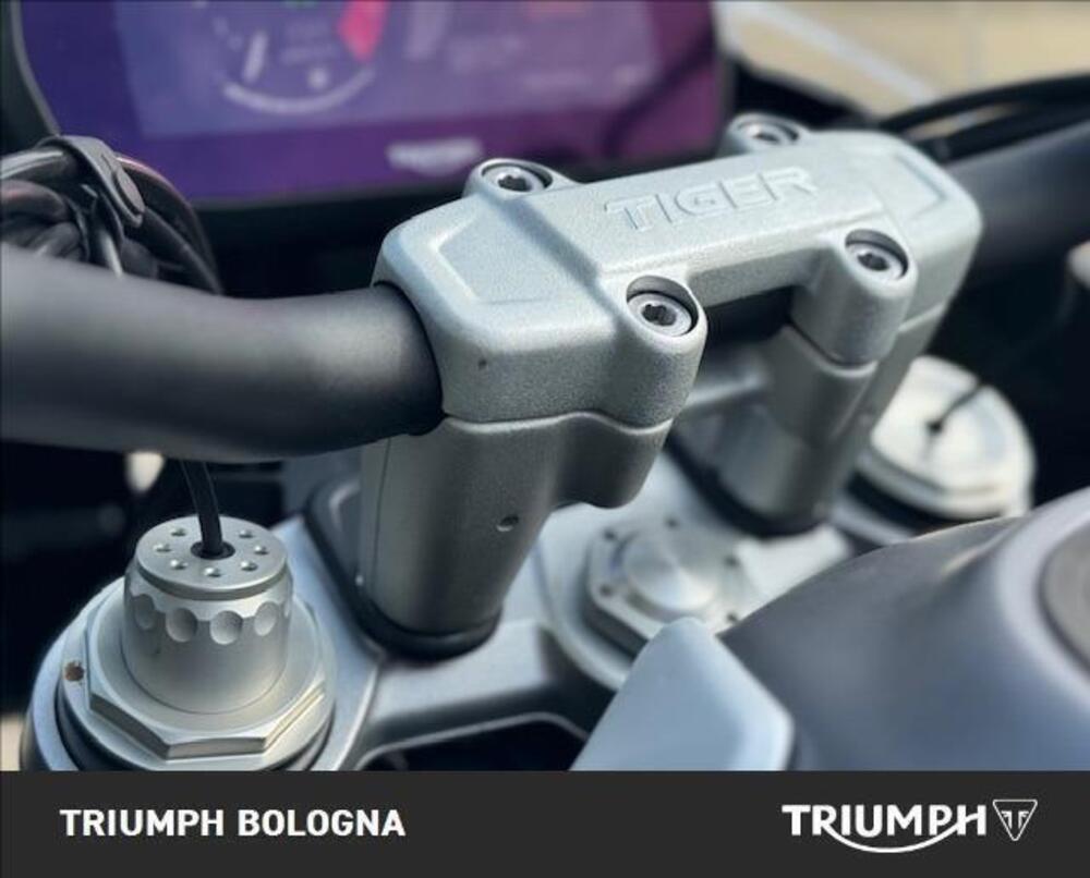 Triumph Tiger 1200 GT Pro (2022 - 23) (4)