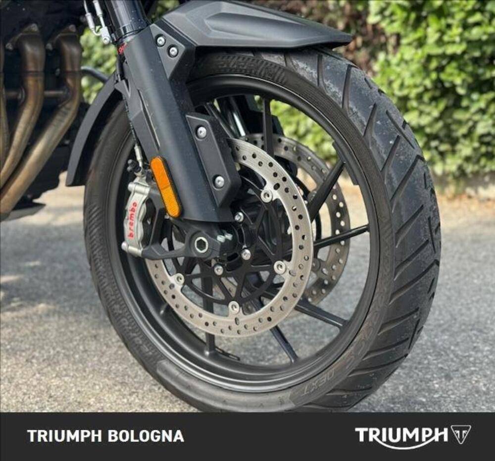 Triumph Tiger 1200 GT Pro (2022 - 23) (8)
