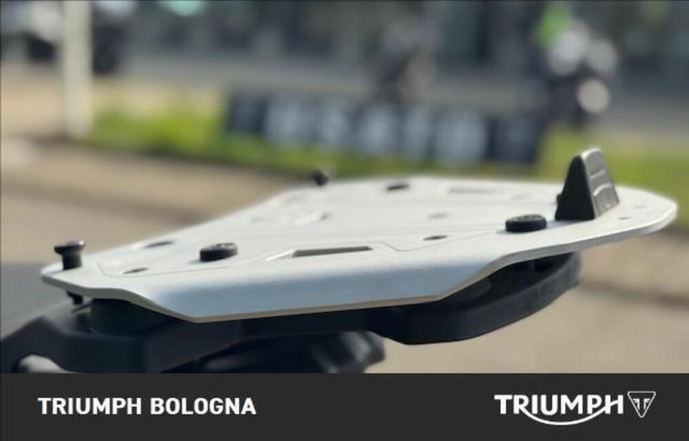 Triumph Tiger 1200 GT Pro (2022 - 23) (13)