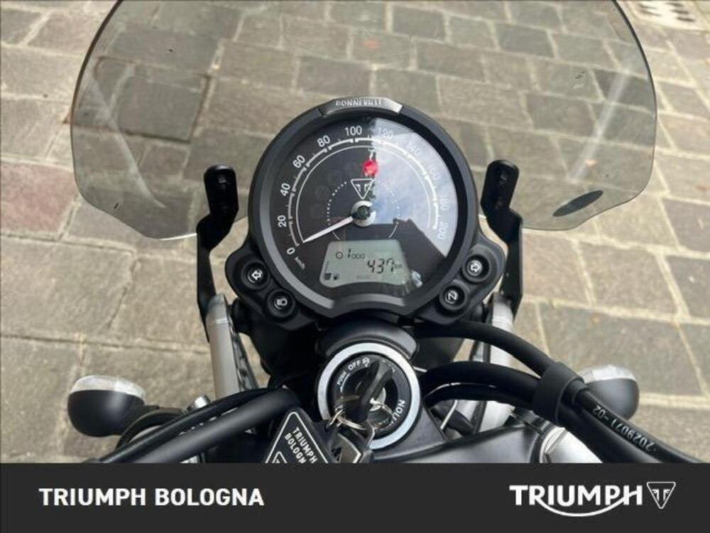 Triumph Scrambler 900 Icon Edition (2025 - 26) (4)