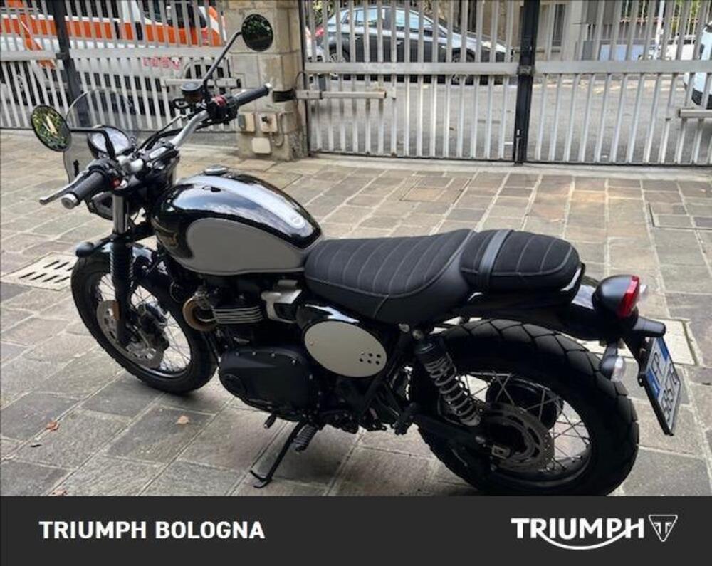 Triumph Scrambler 900 Icon Edition (2025 - 26) (3)