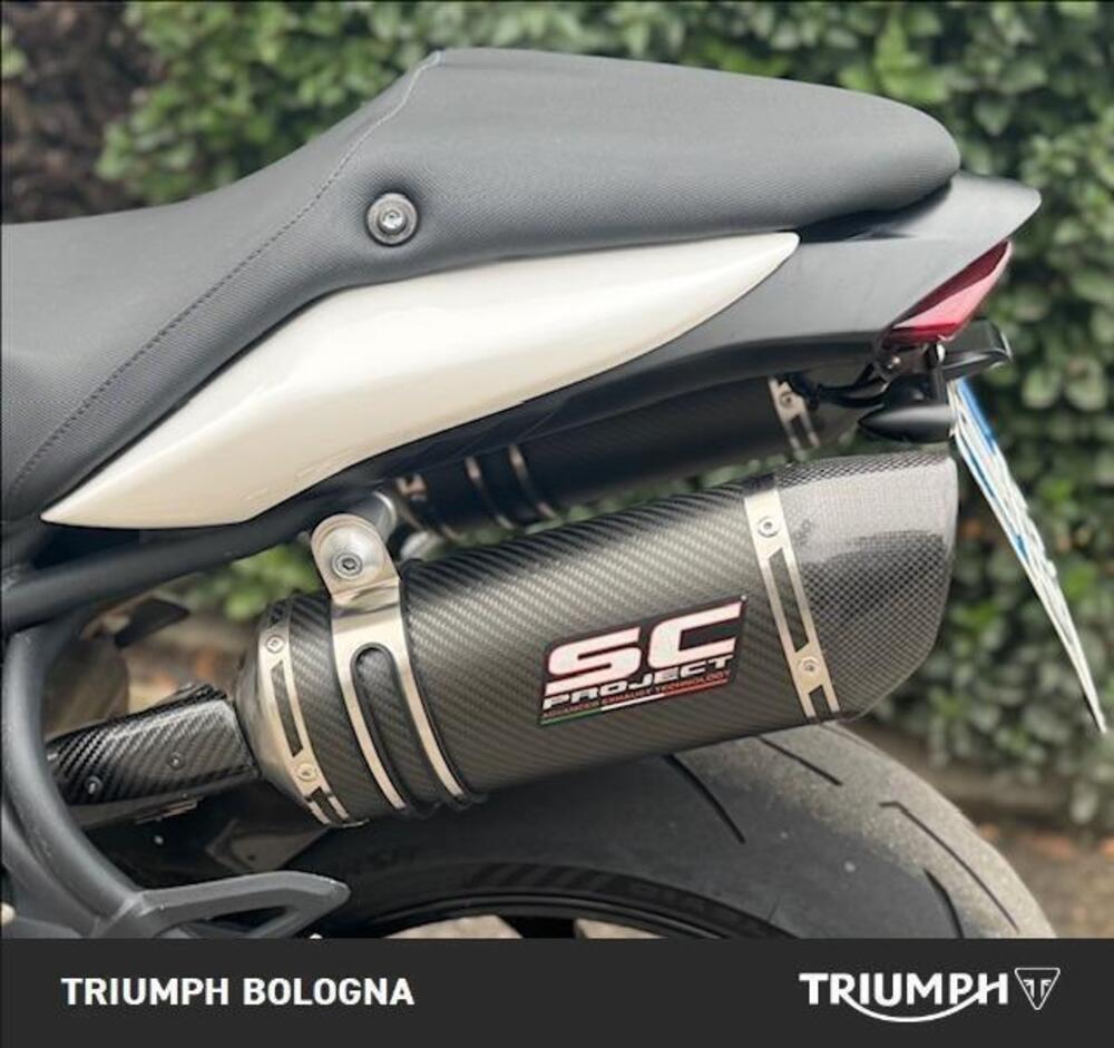 Triumph Speed Triple 1050 (2011 - 13) (10)