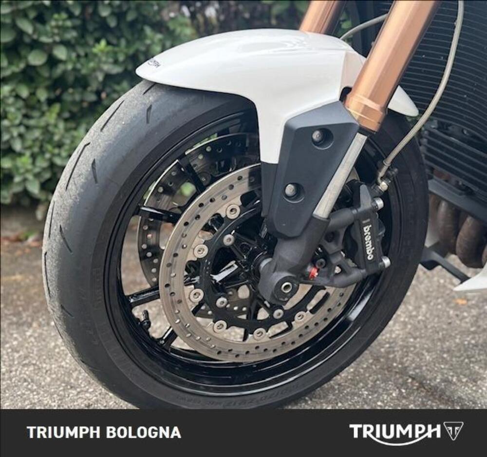 Triumph Speed Triple 1050 (2011 - 13) (14)