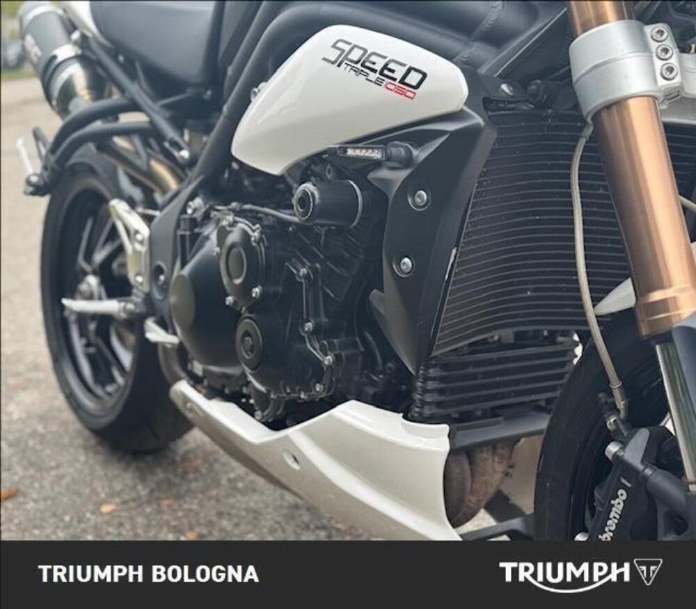 Triumph Speed Triple 1050 (2011 - 13) (6)