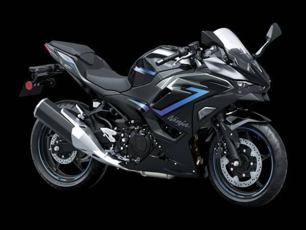 Kawasaki Ninja 500 SE (2024 - 26) (2)