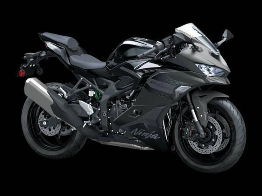 Kawasaki Ninja ZX-4RR (2024 - 26) (2)