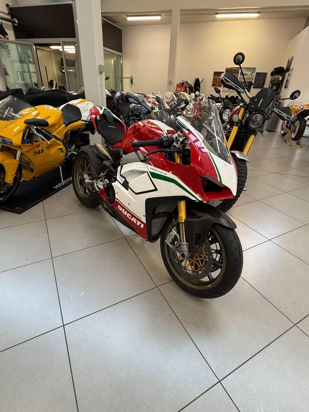 Ducati Panigale V4 Speciale 1100 (2018 - 19) (4)