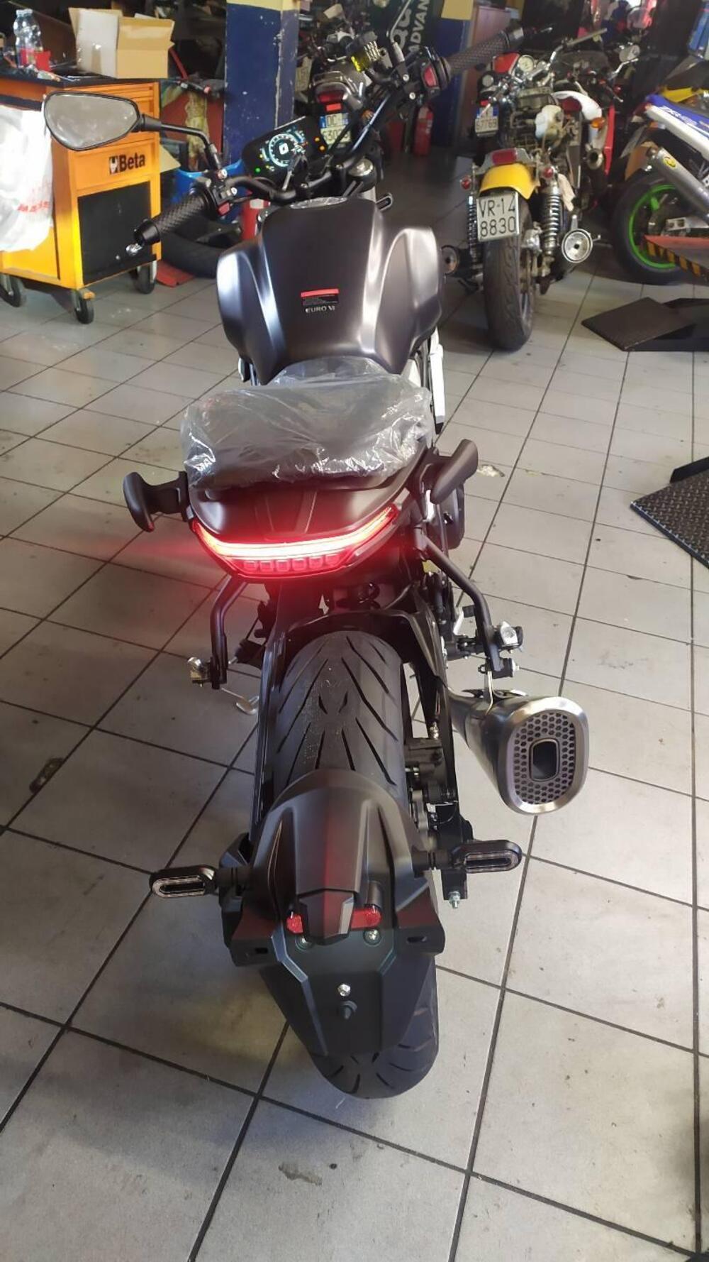 Voge Trofeo 500AC (2022 - 26) (3)