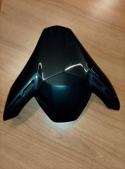 Coprisella Kawasaki Z900