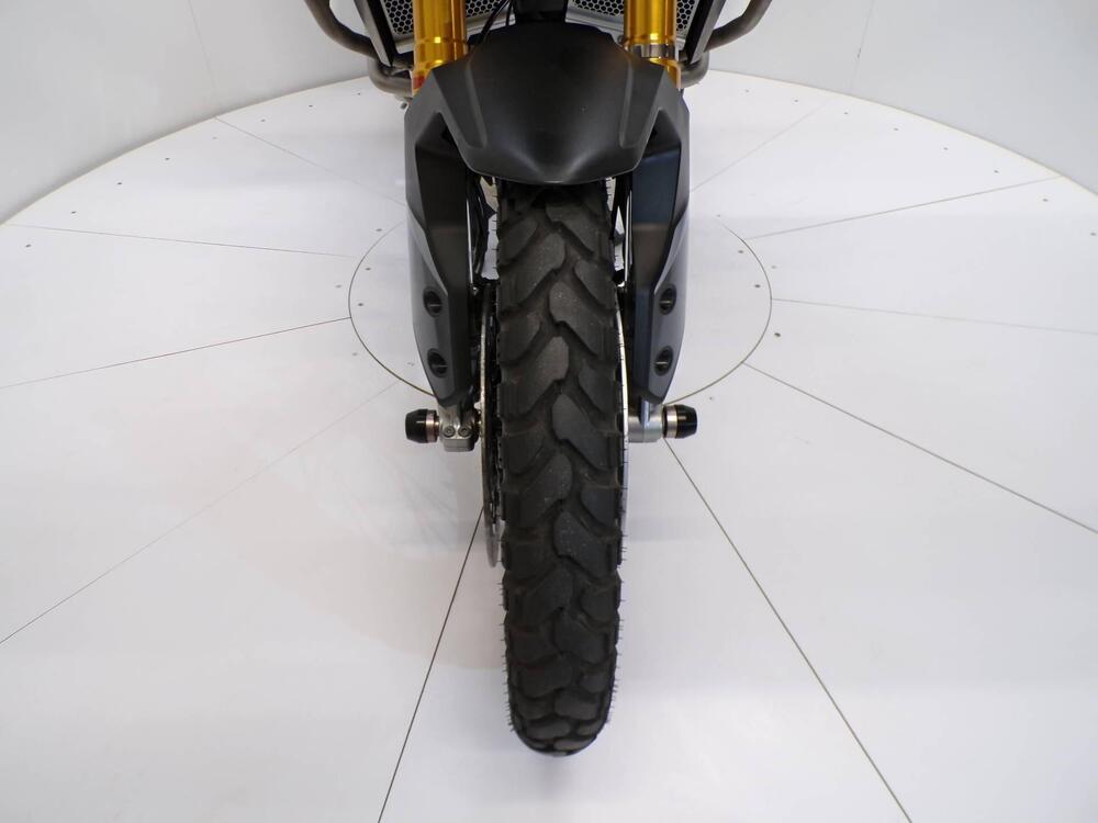 Triumph Tiger 900 Rally Pro (2020 - 23) (10)