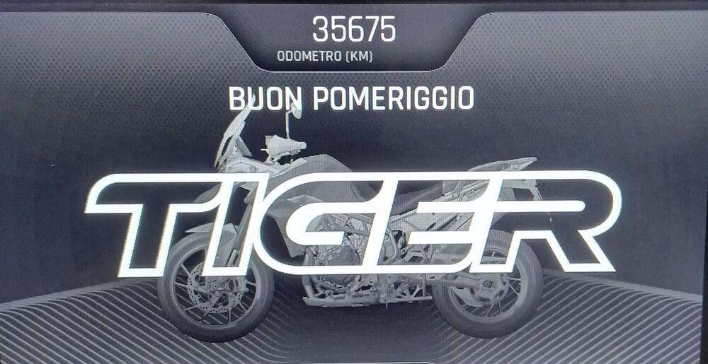 Triumph Tiger 900 Rally Pro (2020 - 23) (13)