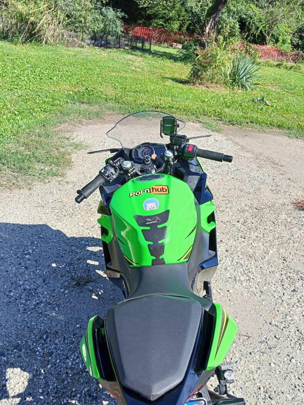 Kawasaki Ninja 400 (2018 - 20) (2)