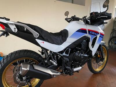 Honda Transalp XL750 (2023 - 24) usata