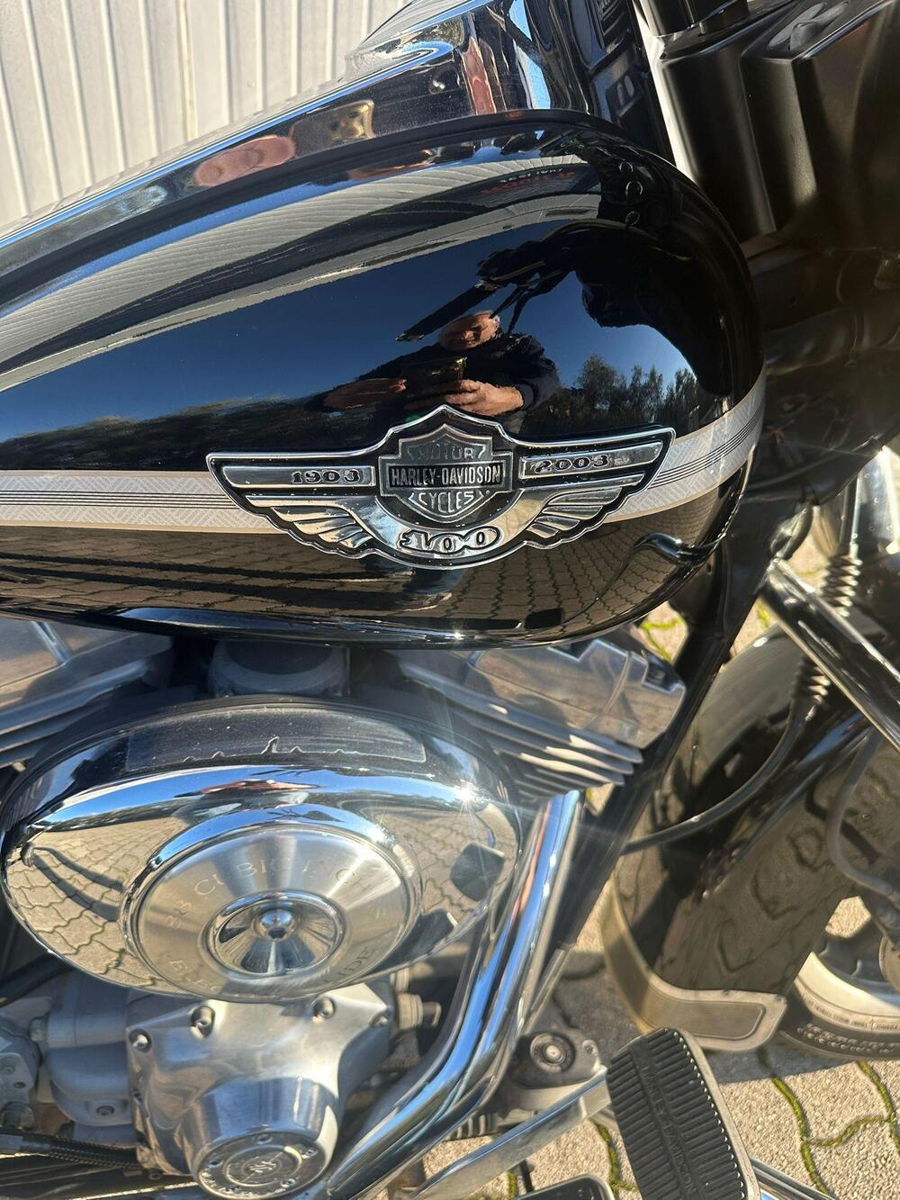 Harley-Davidson 1450 Electra Glide Standard (2001 - 03) - FLHT (10)