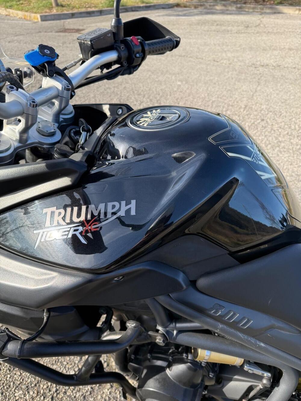 Triumph Tiger 800 XC (2011 - 12) (8)