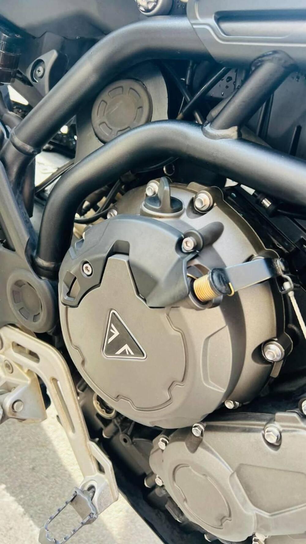 Triumph Tiger 900 Rally (2020 - 23) (12)