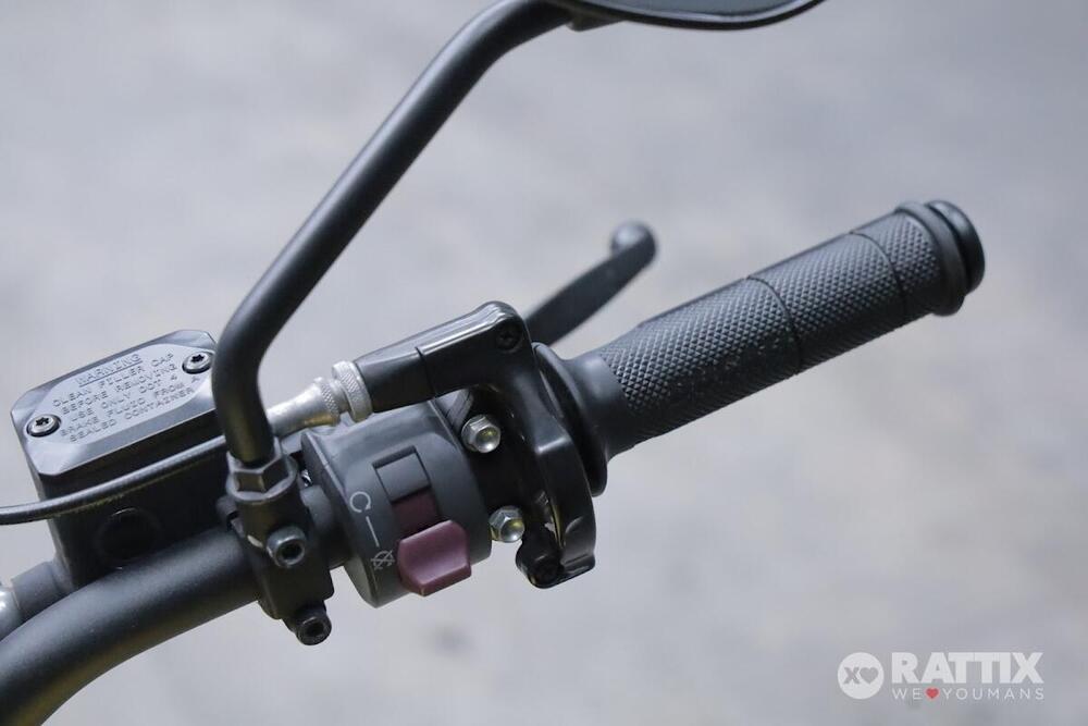 Ducati Scrambler 800 Flat Track Pro (2016 - 17) (12)