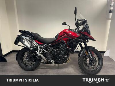 Triumph Tiger 900 GT Pro (2024 - 26) usata