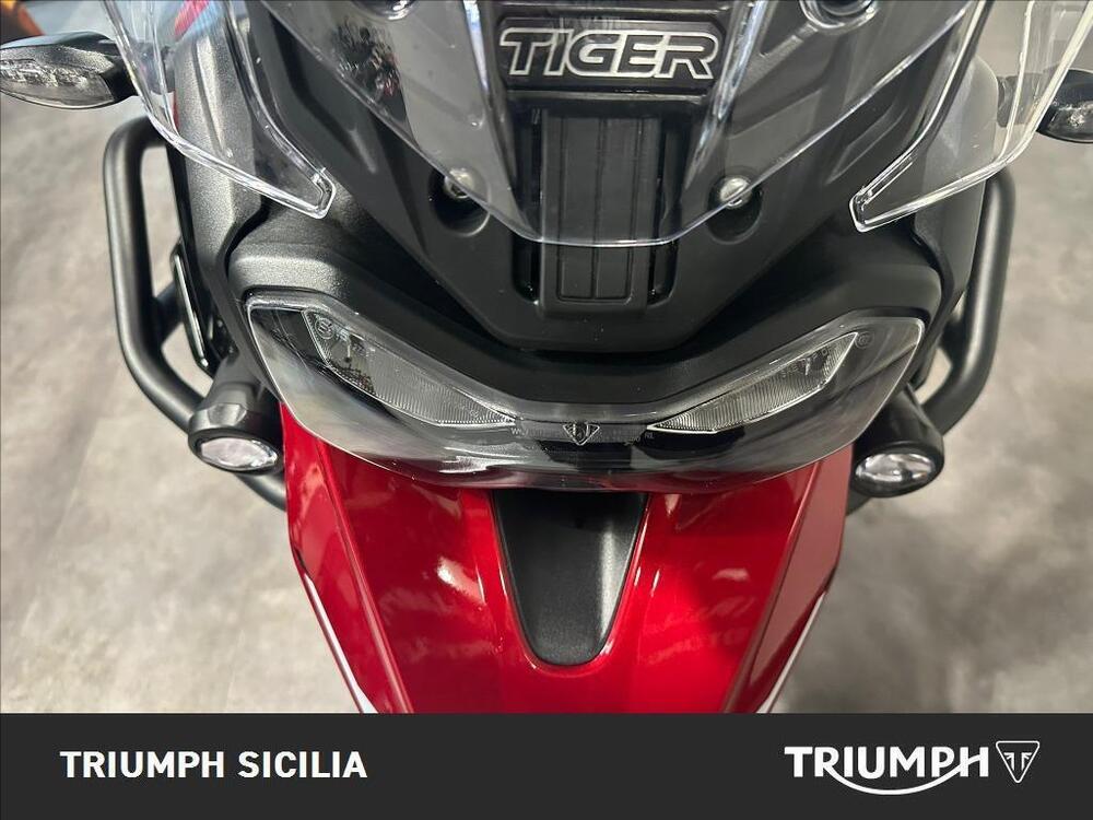 Triumph Tiger 900 GT Pro (2024 - 26) (14)
