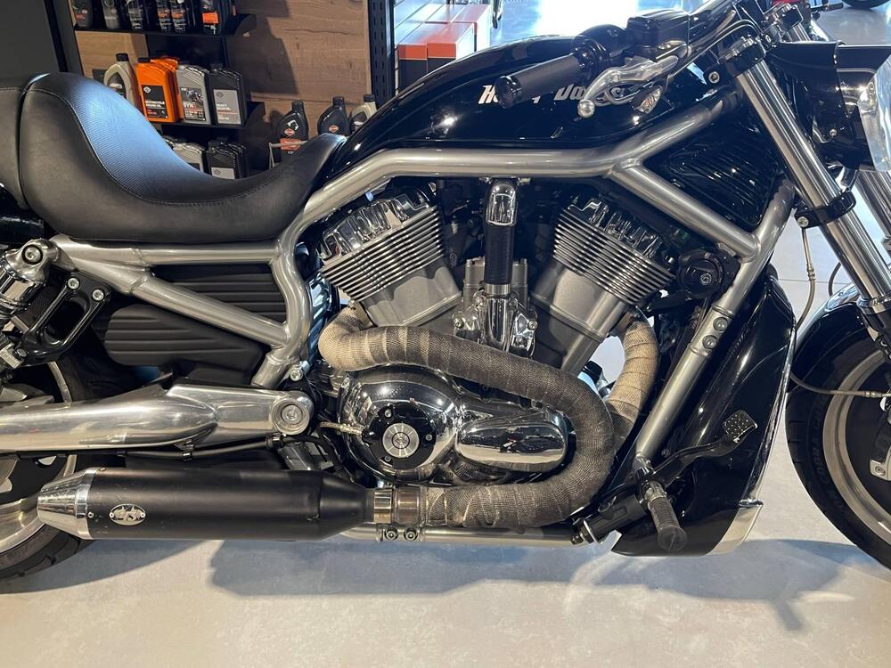 Harley-Davidson 1130 V-Rod (2007) - VRSCAW (3)