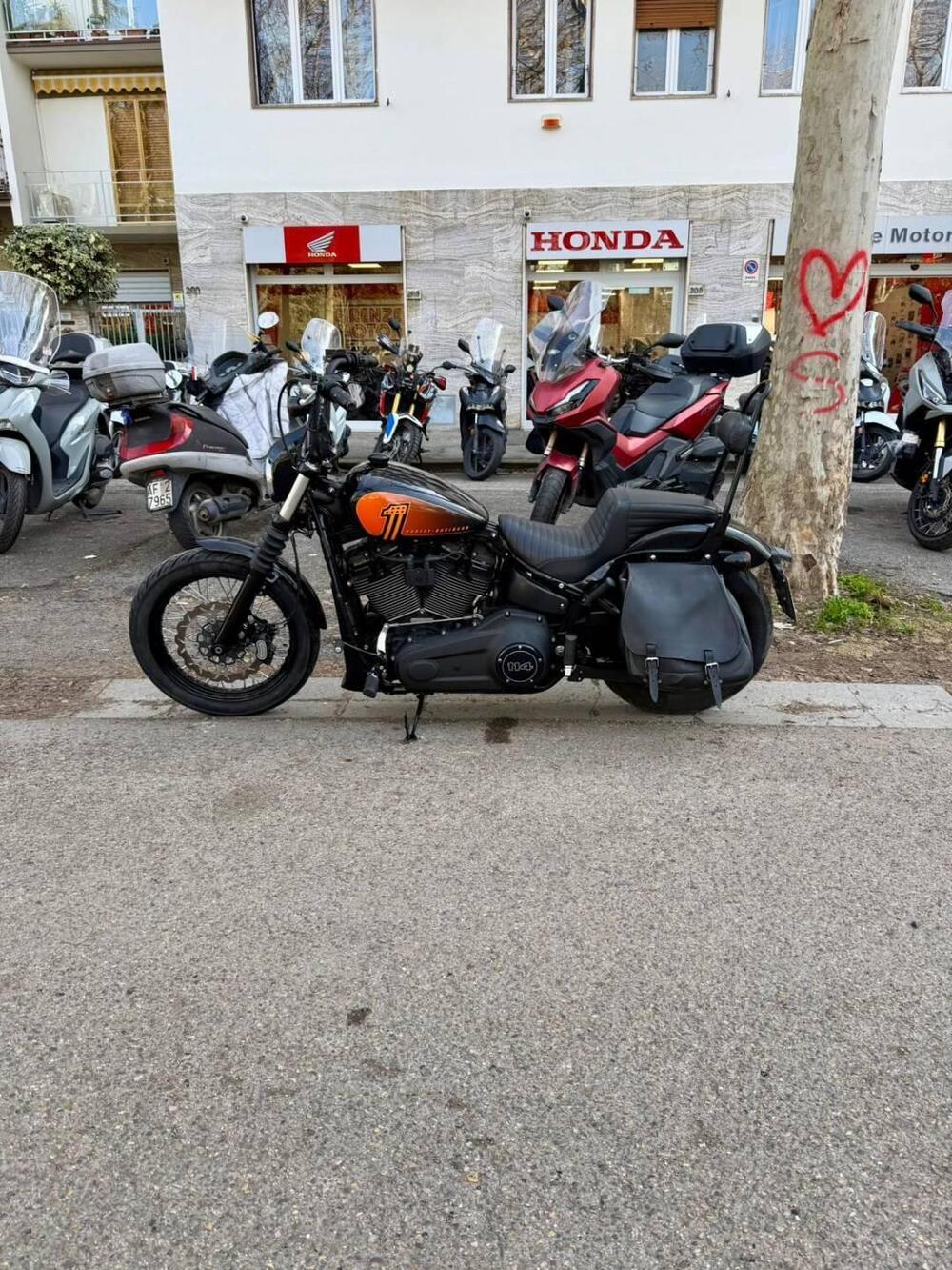 Harley-Davidson Street Bob 114 (2021 - 24) (2)