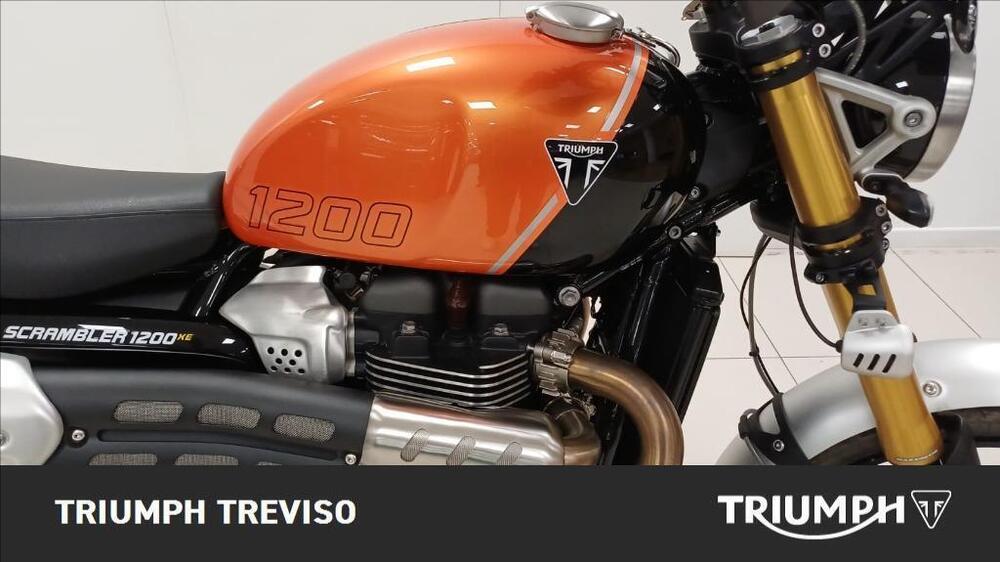 Triumph Scrambler 1200 XE (2024 - 25) (3)