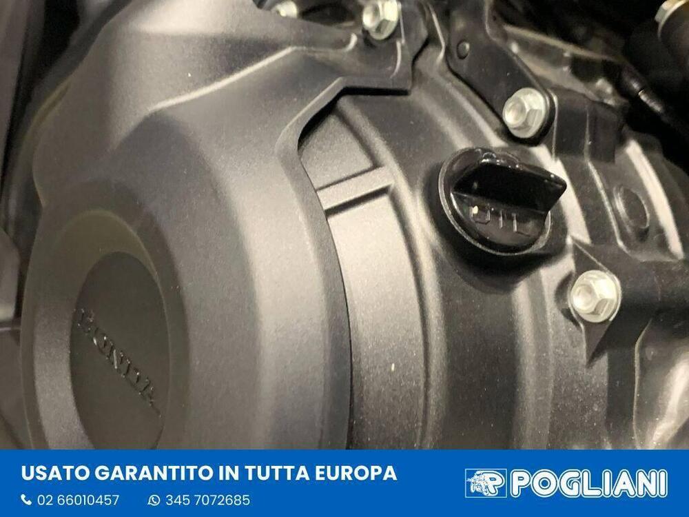 Honda CL500 (2025 - 26) (12)