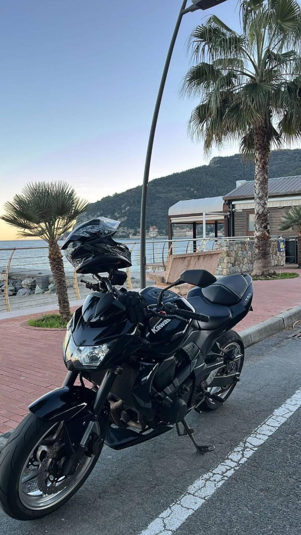 Kawasaki Z 750 (2007 - 14) (2)