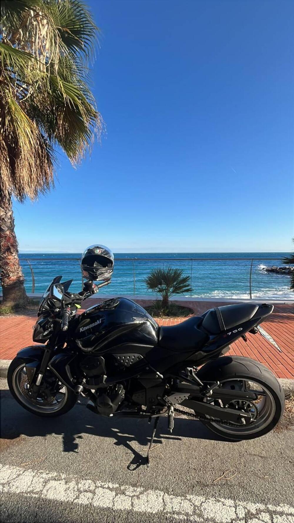 Kawasaki Z 750 (2007 - 14) (5)