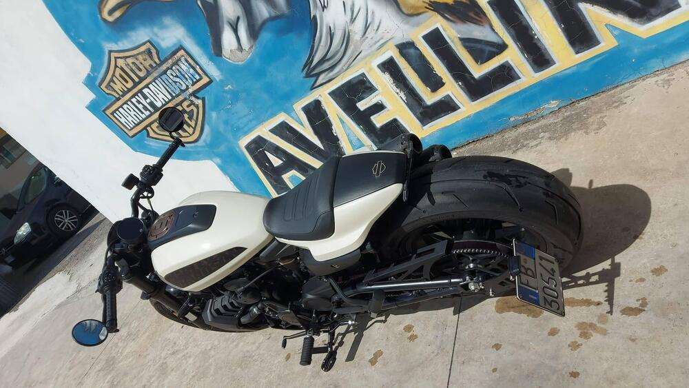 Harley-Davidson Sportster S (2022 - 24) (2)