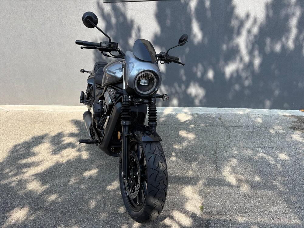 Moto Morini Calibro Custom (2024 - 26) (3)