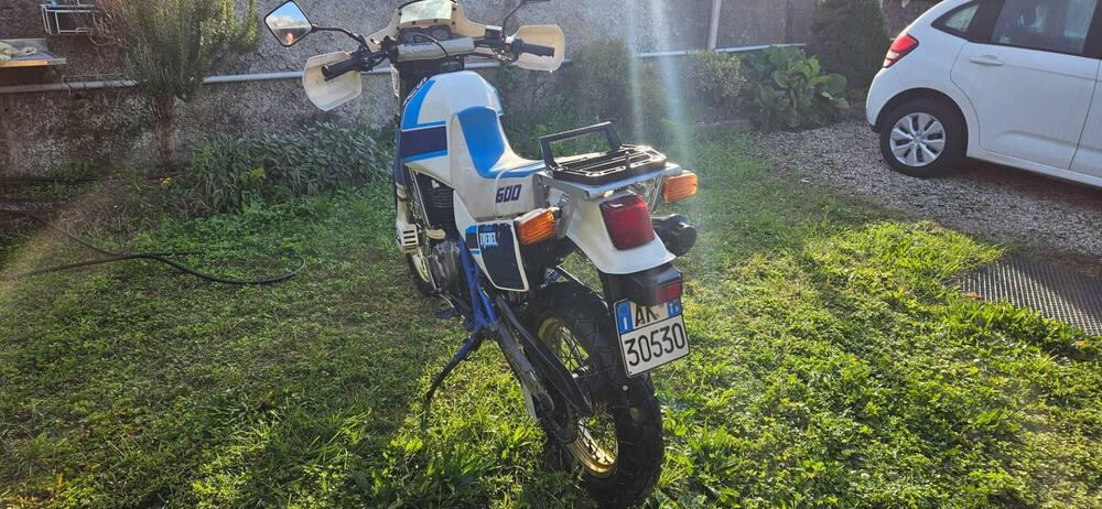 Suzuki DJEBEL 600 ENDURO (3)