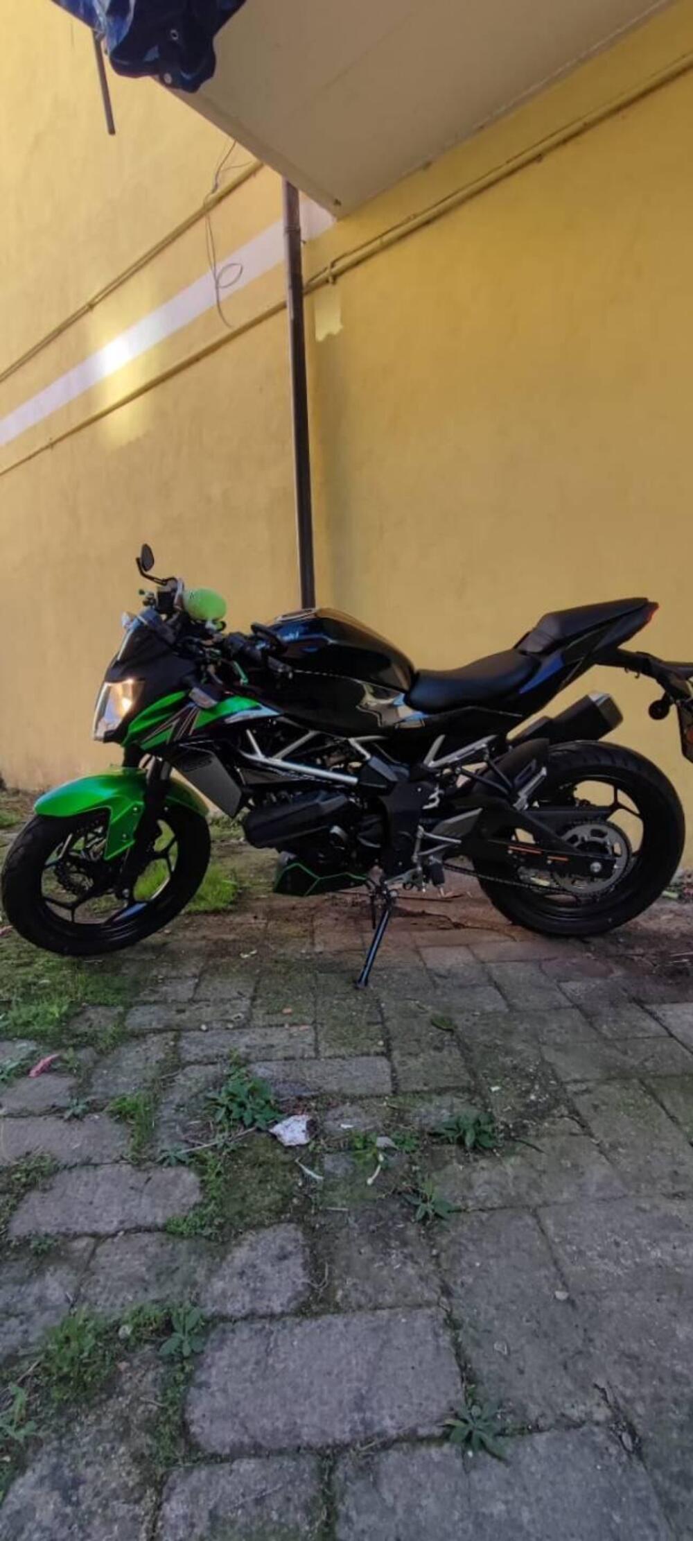 Kawasaki Z 125 (2021 - 24)