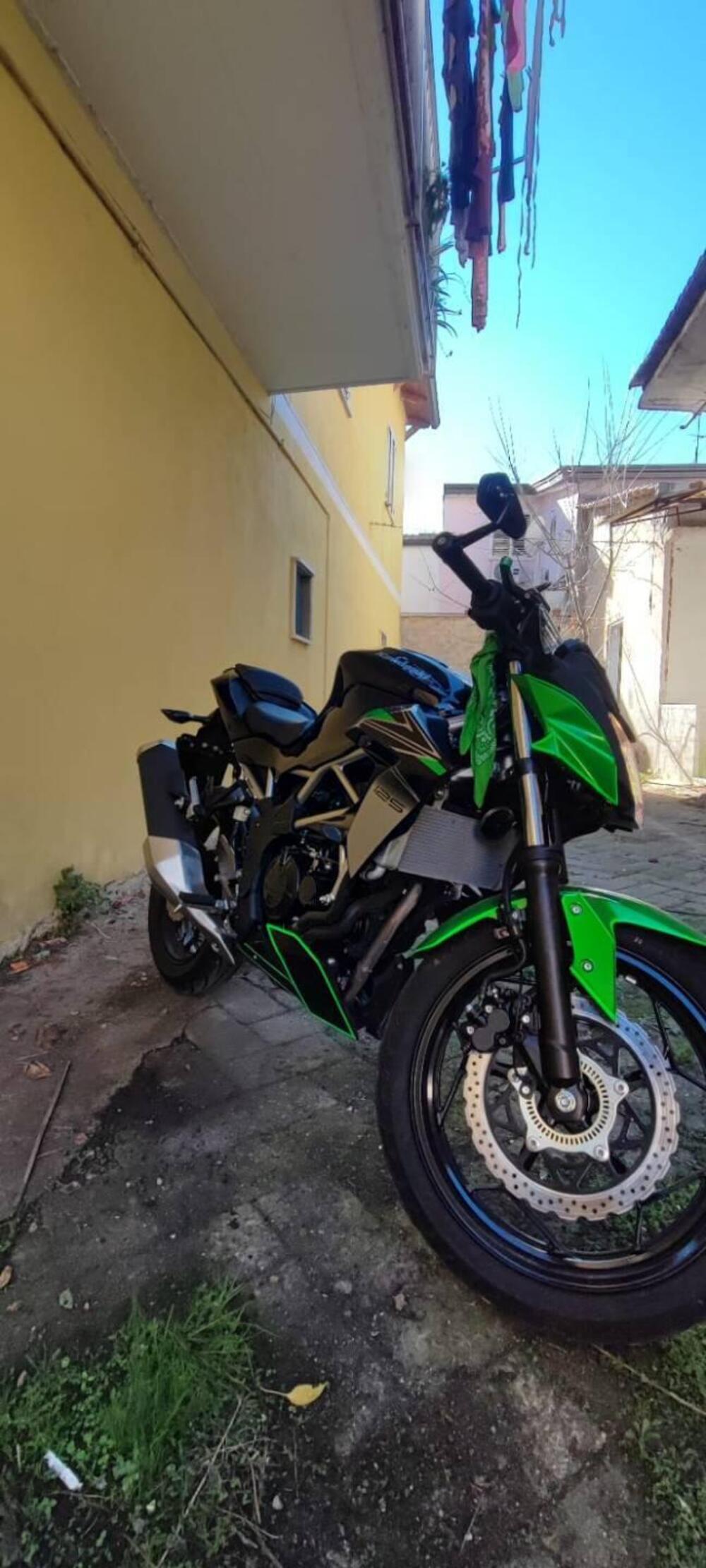 Kawasaki Z 125 (2021 - 24) (2)