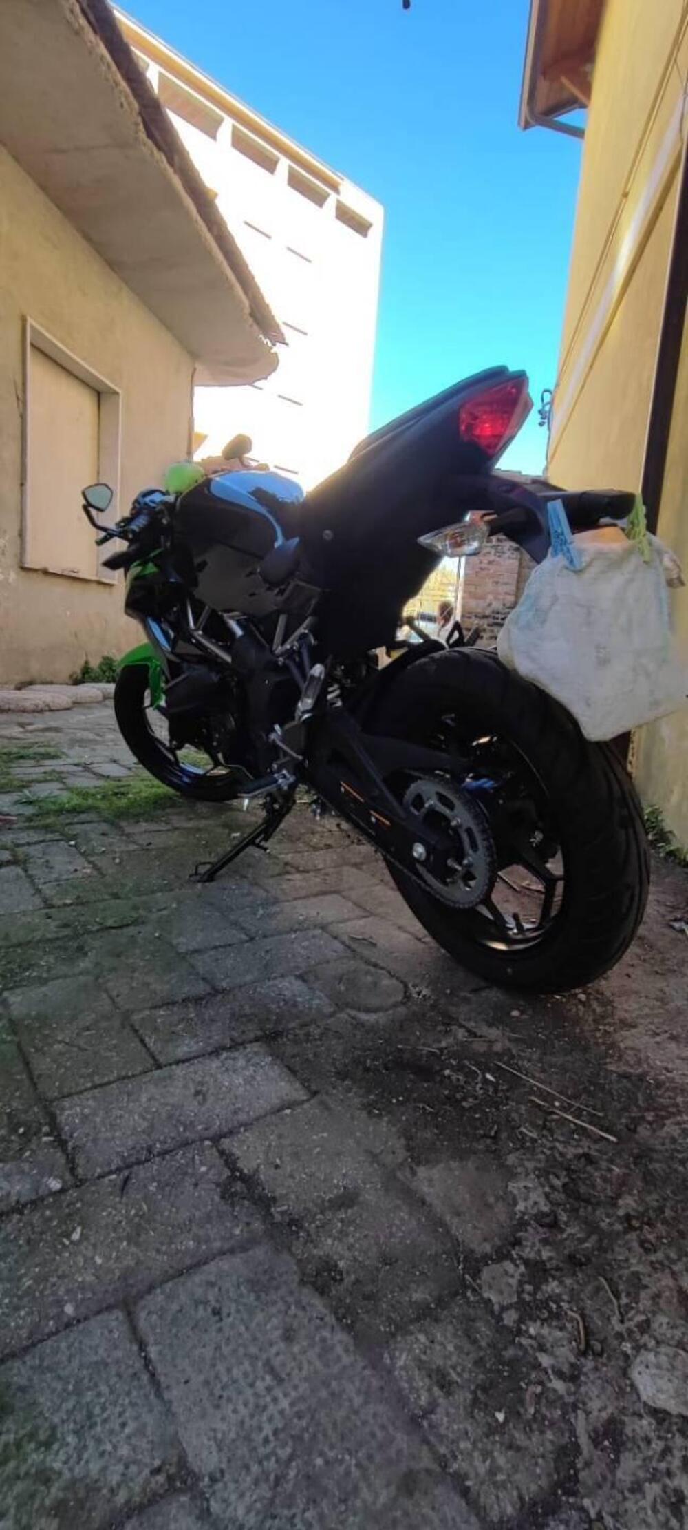 Kawasaki Z 125 (2021 - 24) (4)