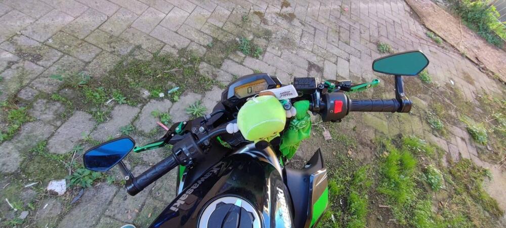 Kawasaki Z 125 (2021 - 24) (5)