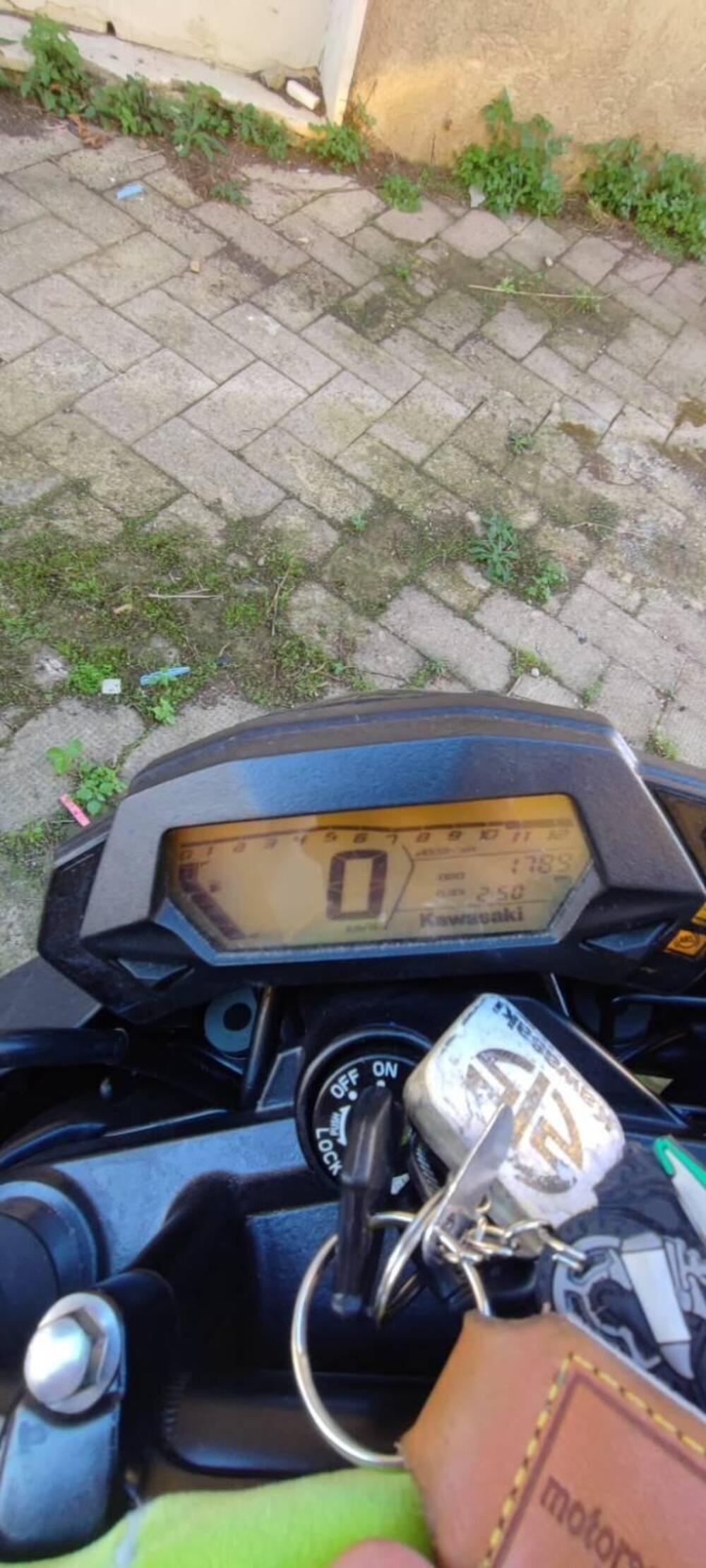 Kawasaki Z 125 (2021 - 24) (6)