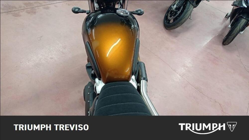 Triumph Scrambler 900 (2023 - 25) (4)