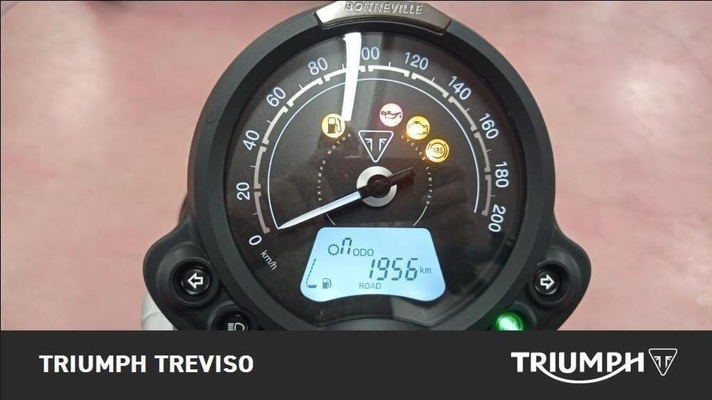 Triumph Scrambler 900 (2023 - 25) (5)